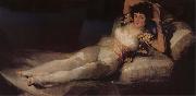Francisco Goya Clothed Maja china oil painting artist